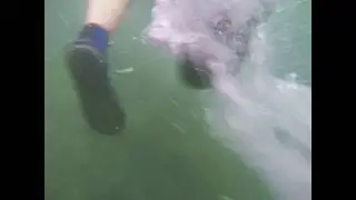River Trace
