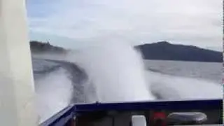 Jet boat rooster Riddle marine zz 502