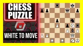 Chess Puzzle 2048 elo [Expert]