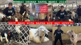 DEONAR BAKRA MANDI MUMBAI BHOT HARD HARD KOTA BAKRA AYE HAI HIGH LEVEL KE GOAT HAI SB🐐