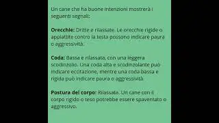 Come Capire se il cane ha buone intenzioni no