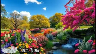 Feel the Calm | Soothing Instrumental Music for Stress Relief & Deep Sleep