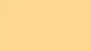 Cornmeal   Ambient Color Screen 10 Hours