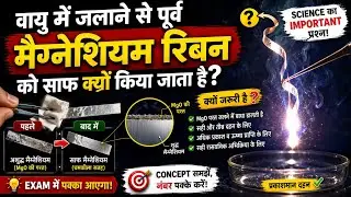 Class 10 Science: मैग्नीशियम रिबन को साफ क्यों करते है (10 Marks पक्के) ✅