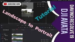 Davinci resolve 19 | Landscape to portrait #DJI #fyp #drone #example #tutorial #avata