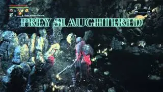 Bloodborne&trade;_lv 50 twink pvp p2