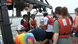 From Florida to Nantucket, great white shark 'Contender' makes his way to Mass. waters