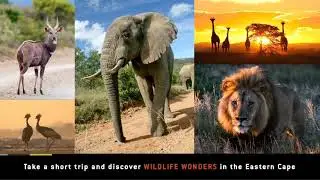 Eastern Cape Micro Trips - Explore your own backyard!