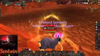 Retribution Paladin PvP/Duels 6.2.2 WoD  By Sentwin