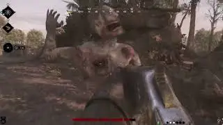 Clean, flawless victory