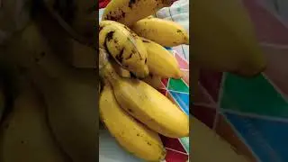 eating banana at night actually healthy food?#  benefits of eating banana