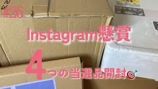 #26【懸賞当選】4つ当選しました🎯