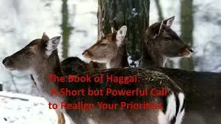 The Book of Haggai: A Short but Powerful Call to Realign Your Priorities