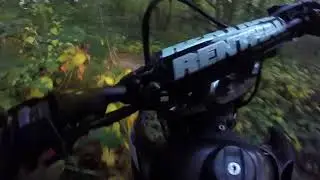 RMZ 450 & WR 250R