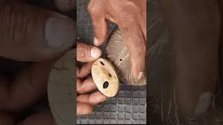 DIY coconut shell speaker  #diy #recycling #experiment
