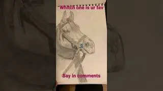 My evolution in drawing #horses #equestriangirl