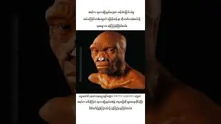 The detailed model is based on the fossilized bones of a human species called Homo longi.