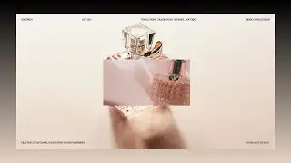 Elegant Scroll Reveal with GSAP ScrollTrigger