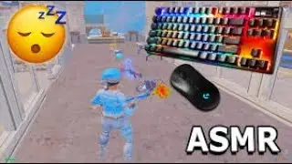 STAR61 & 165fps ASMR Chill 🤩 Tilted ZoneWars🏆Keyboard ASMR Fortnite Gameplay