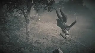 Rdr2 funny moment