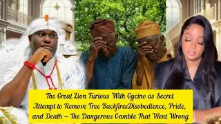 The Great Lion Furious With Gycino as Secret Attempt to Remove Tree Backfires Disobedience And Pride