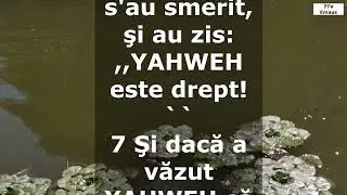 📖 2 Cronici Capitolul 12 &mdash; Divr&eacute; Hayamim Bet