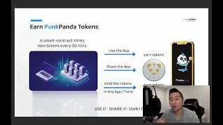 Punk Panda Presentation Pr&eacute;sentation