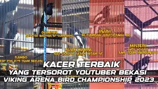 KACER TERBAIK DI VIKING ARENA BIRD CHAMPIONSHIP 2023 BANDUNG 2 APRIL 2023