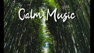 Relaxing Music & Beautiful Forests