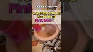 🛁 What&rsquo;s That Pink Ring in Your Toilet?