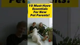 Essential Guide for New Pet Parents: What You Need to Know!