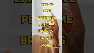 Top 10 most expensive Perfume brands in the World 🔥 #shortsfeed #facts #shorts #perfume #aktop100
