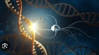Nano Bots inside of us ; TI (Targeted Individual) Testimony