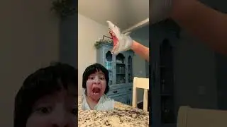 Shark puppet benji es una off