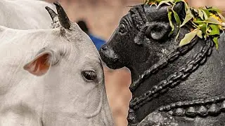 basavan kudachi / Shravan mahaprasad #viral #youtubeshorts
