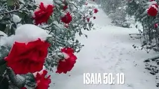 Una parola per te ( Isaia 50:10)