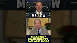 Senator John Kennedy Roasts The Left's Dark Woke Agenda  #ytshorts #dems #funny