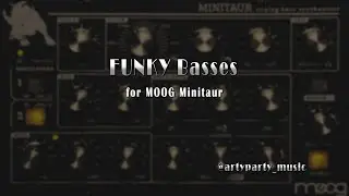 MOOG Minitaur/ FUNKY  Basses SOUNDSET