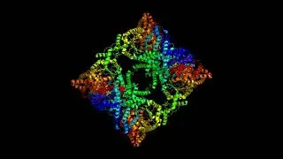 Crystal structure of the T-state of maize C4-phosphoenolpyruvate carboxylase (Zea Mays)