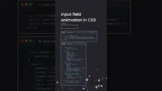 Input field animation with CSS | HTML & CSS