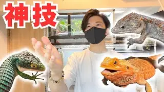 【神技】いつかは必ず亡くなるペットの遺し方
