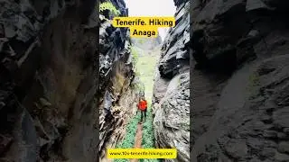 Tenerife. Hiking with tunnels in Anaga. Los Catalanes #tenerife #hiking #anaga #loscatalanes #10x