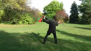 Sil Lum Hung Gar Kung Fu Double Broadsword  Form with effect