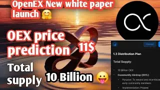 Openex New Update Today | Openex new white paper launch 😀 | OEX Price  11$ | Open Ex total supply 😀