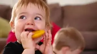 Quality in family day care – sector video