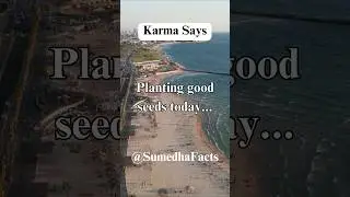 Planting good seeds today... #shorts #facts #karma #karmasays