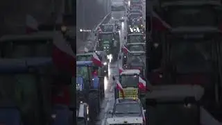 Thousands of Polish Farmers Strike, Block Ukraine Border | VOA News #shorts