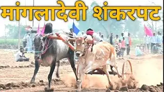 mangladevi shankarpat 2026