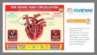 Daydream Education Interactive Whiteboard Software