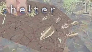 Badger Babies! | Shelter